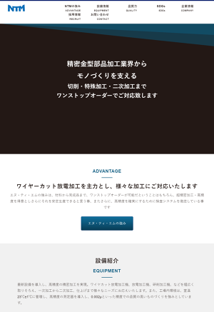 株式会社エヌ・ティ・エム